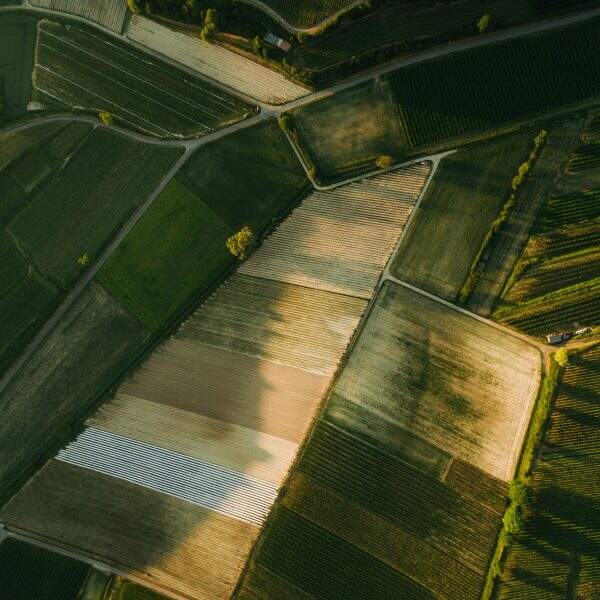 aerial view of agro fields in summer, europe